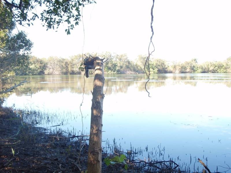 37 Fingal Rd, Fingal Head NSW 2487