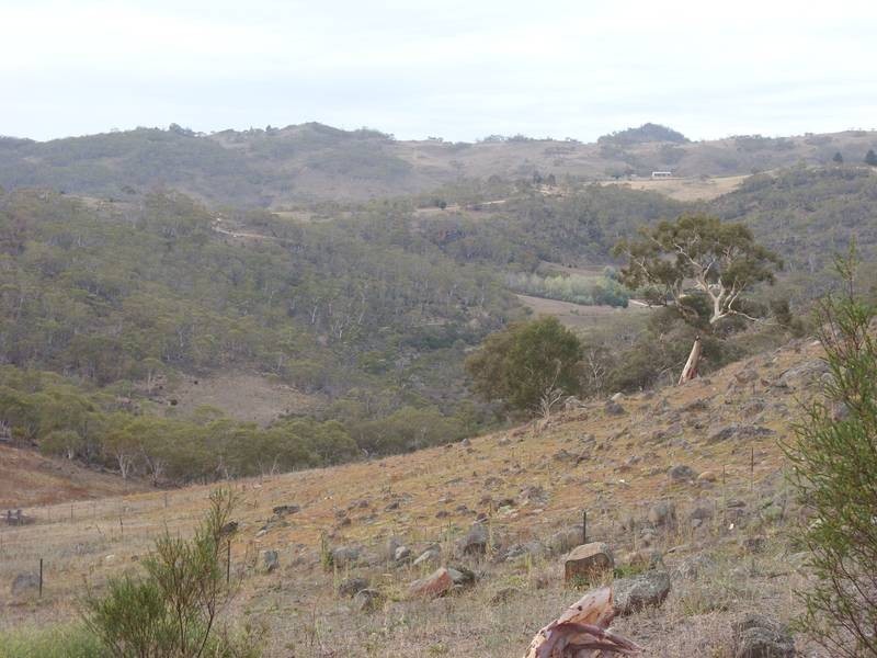 Lot 90 Riverview Court – Lakewood Estate, Jindabyne NSW 2627