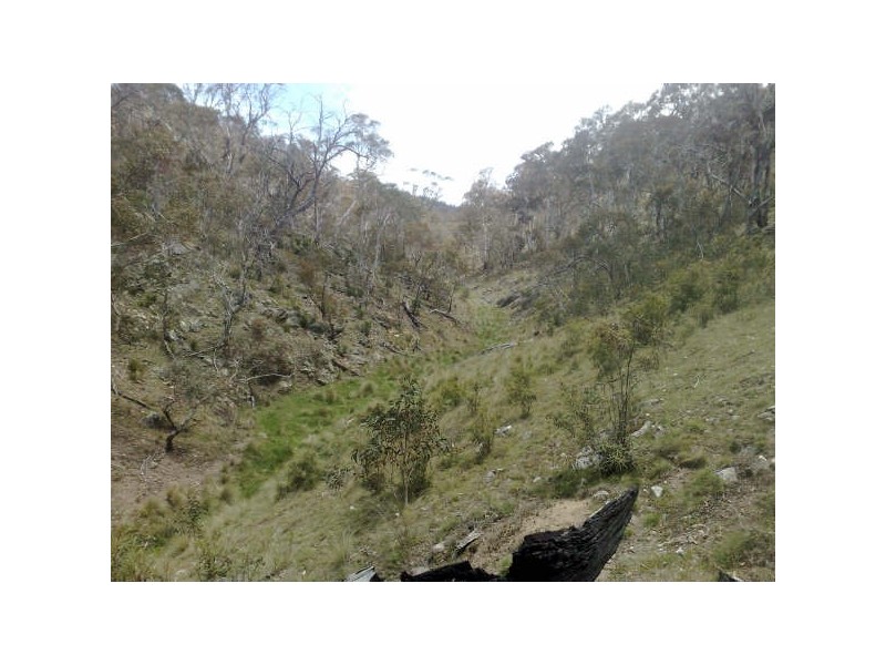 Lot 3 Avonside Road, Jindabyne NSW 2627