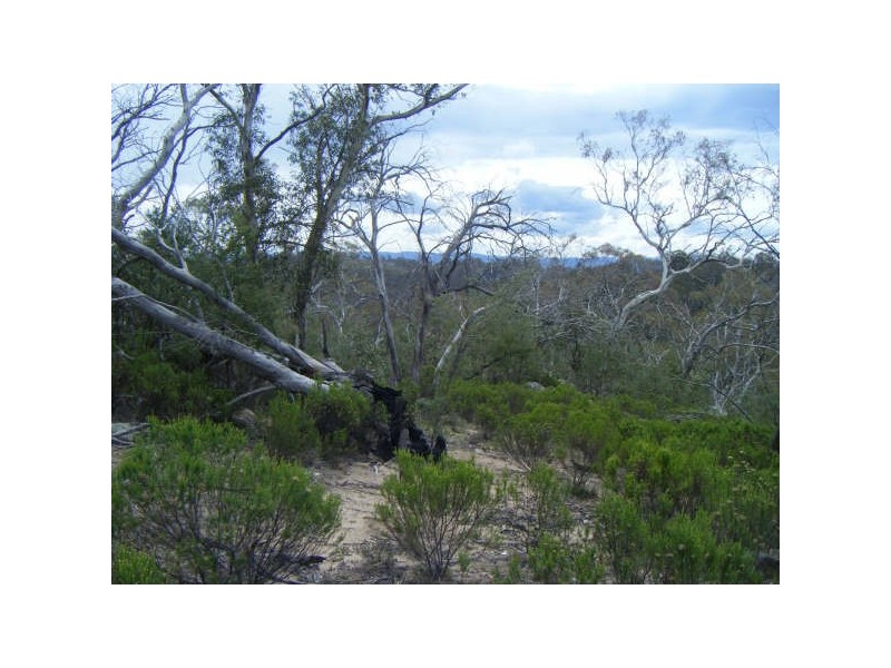 Lot 3 Avonside Road, Jindabyne NSW 2627