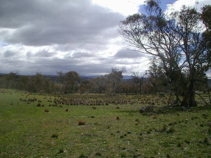 Lot 15 Tirrike Lane Hilltop, East Jindabyne NSW 2627