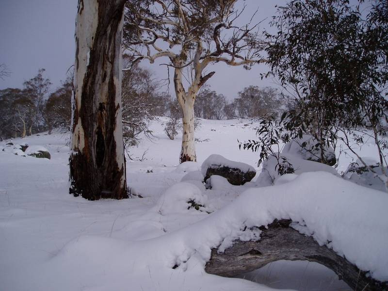 Lot 15 Tirrike Lane Hilltop, East Jindabyne NSW 2627
