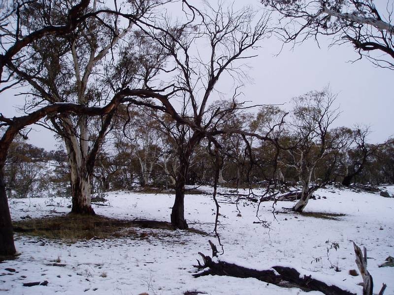 Lot 15 Tirrike Lane Hilltop, East Jindabyne NSW 2627