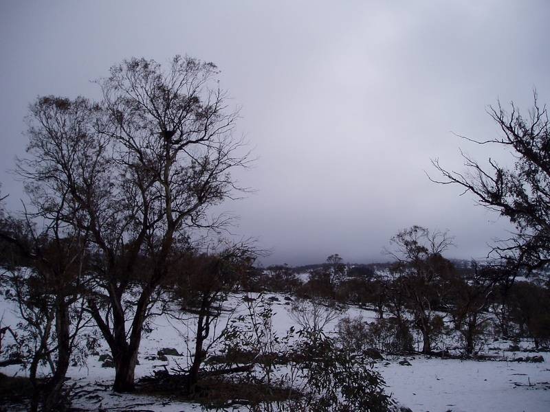 Lot 15 Tirrike Lane Hilltop, East Jindabyne NSW 2627
