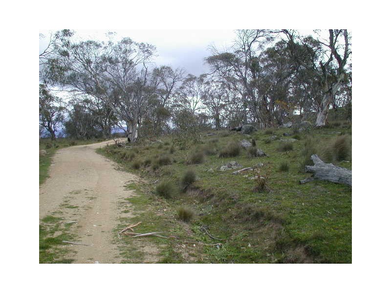 Lot 15 Tirrike Lane Hilltop, East Jindabyne NSW 2627