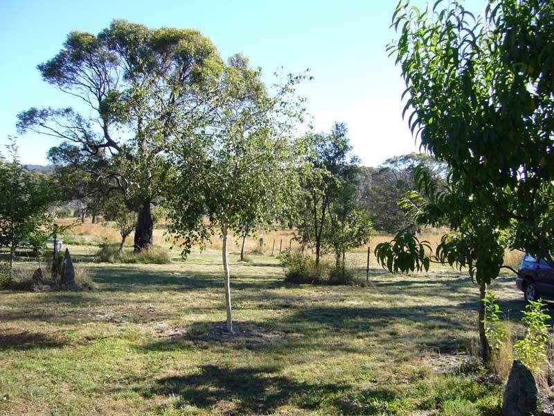 71 Iron Pot Creek Road, Jindabyne NSW 2627