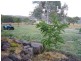 71 Iron Pot Creek Road, Berridale NSW 2628