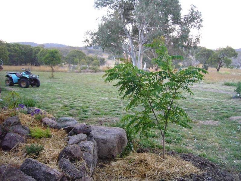 71 Iron Pot Creek Road, Berridale NSW 2628