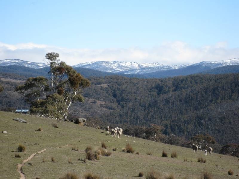 Lot 67 Gullies Road, Jindabyne NSW 2627