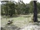132 Little Rock Road, Crackenback NSW 2627