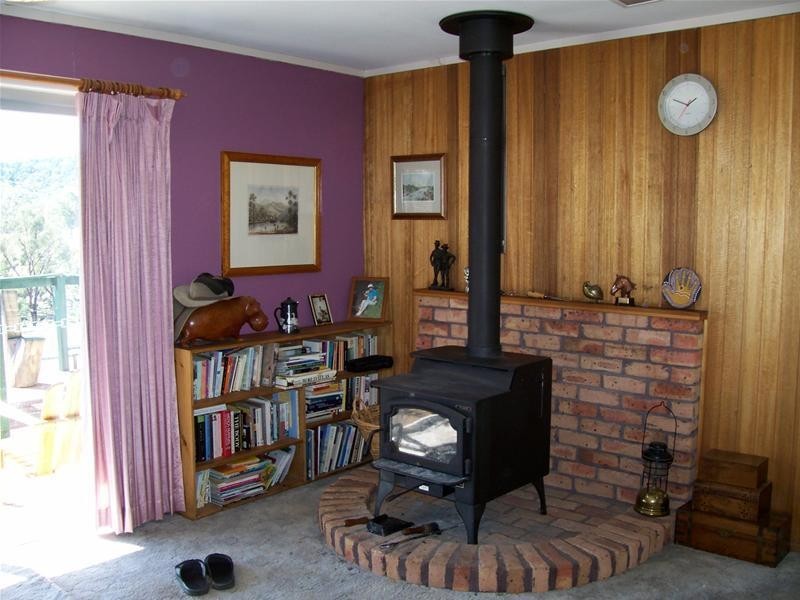 lot 3 Brasseys Creek Road, Bungarby NSW 2630