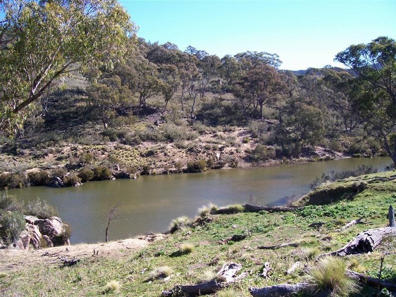 lot 3 Brasseys Creek Road, Bungarby NSW 2630