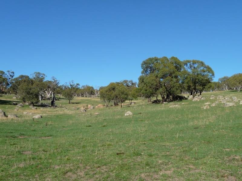 Lot Lot 63,64, West Lyn Road, Jindabyne NSW 2627