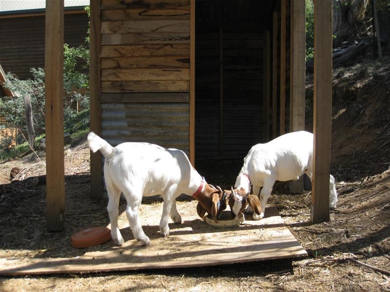 37 Jerrara Drive, East Jindabyne NSW 2627