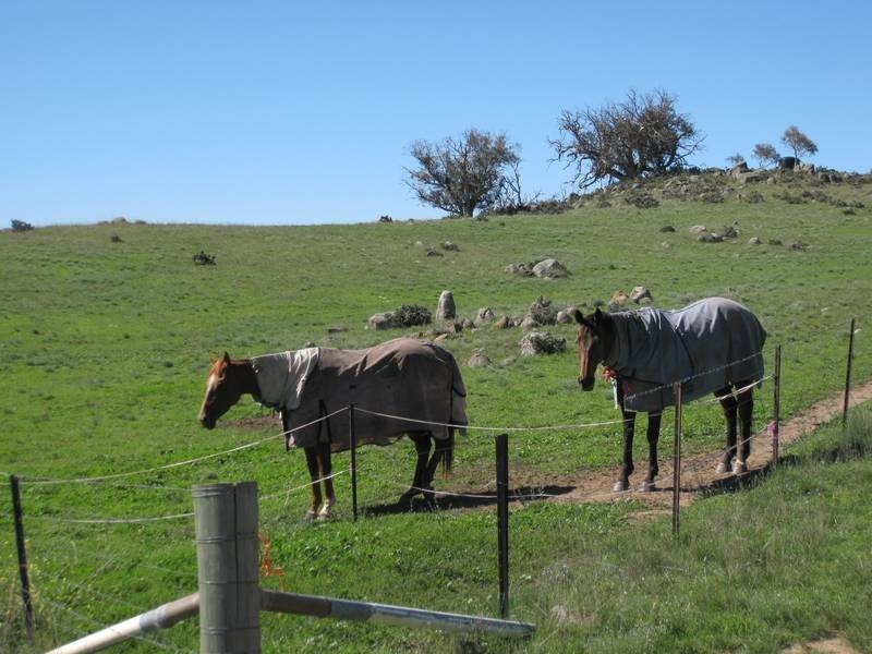 Lot 6 Carinya Lane, Jindabyne NSW 2627