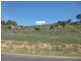74 Snowgrass Drive, Jindabyne NSW 2627