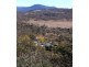 269 Giekle Creek Road, Jindabyne NSW 2627