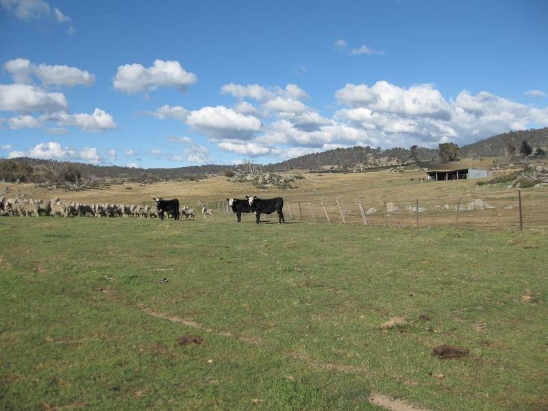 Lots 47 Stoney Creek Road, Berridale NSW 2628