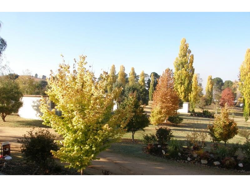 1 Hamilton Street, Dalgety NSW 2628