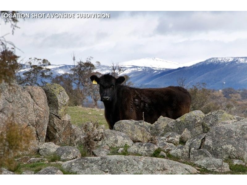 Lot 1 Avonside Road, Jindabyne NSW 2627