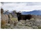 Lot 4 Avonside Road, Jindabyne NSW 2627