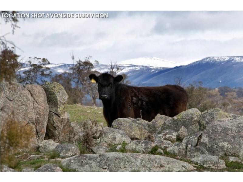 Lot 3 Avonside Road, Jindabyne NSW 2627