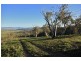 Lot 1 Old Settlers Road, Jindabyne NSW 2627