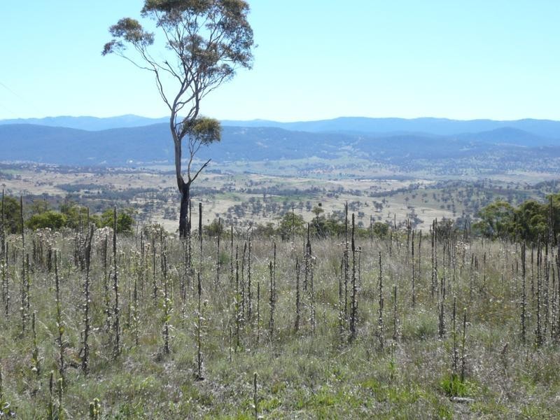 Lot 16 Old Settlers Road, Jindabyne NSW 2627