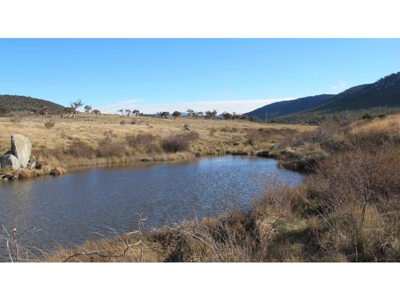 50 Cranky Flat Road, Crackenback NSW 2627