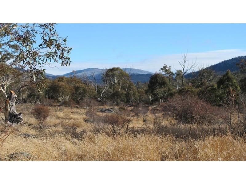 50 Cranky Flat Road, Crackenback NSW 2627