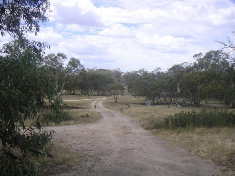 59 Old School Road, Jindabyne NSW 2627