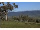 Lot 1 McGuffick’s Hill, Jindabyne NSW 2627