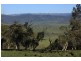 Lot 1 McGuffick’s Hill, Jindabyne NSW 2627
