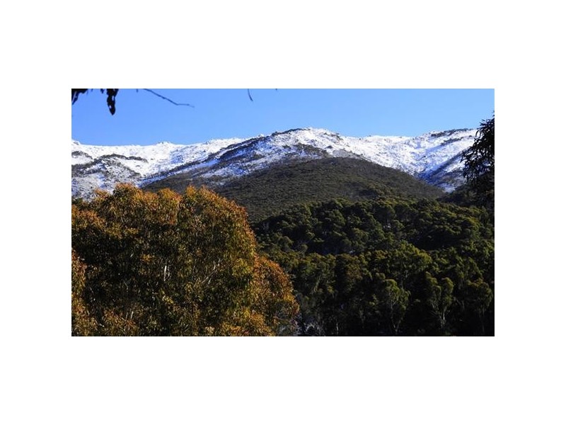 12 Little Thredbo Road, Crackenback NSW 2627