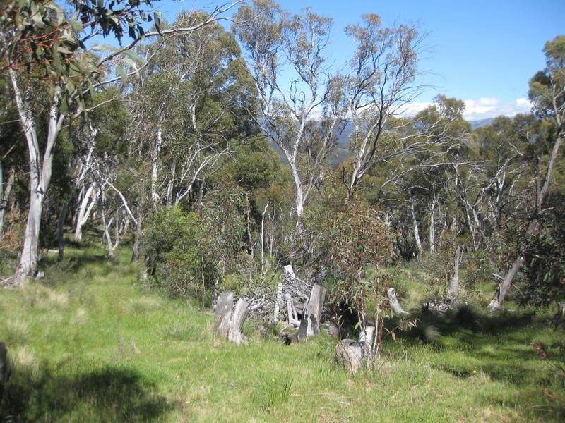Lot 10&11 Wollondibby Road, Crackenback NSW 2627