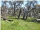 Lot 10&11 Wollondibby Road, Crackenback NSW 2627