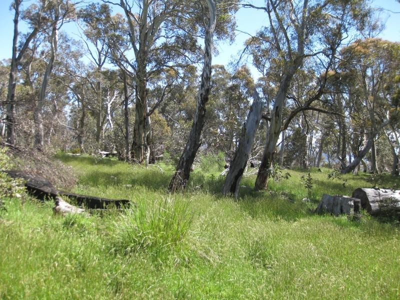 Lot 10&11 Wollondibby Road, Crackenback NSW 2627