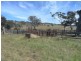 Lot 1 Hilltop Road, East Jindabyne NSW 2627