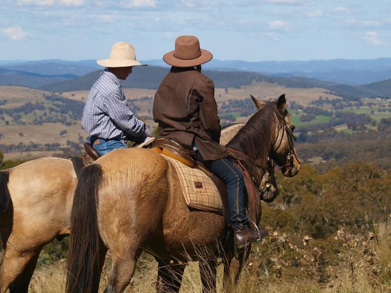 Lot 2 Paupong Rd, Jindabyne NSW 2627