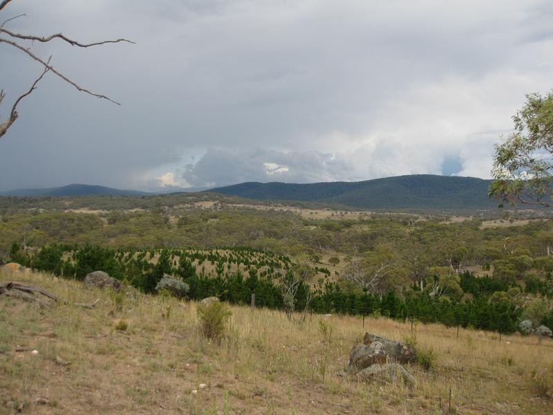 Lot 65 West Lynne Road, Jindabyne NSW 2627