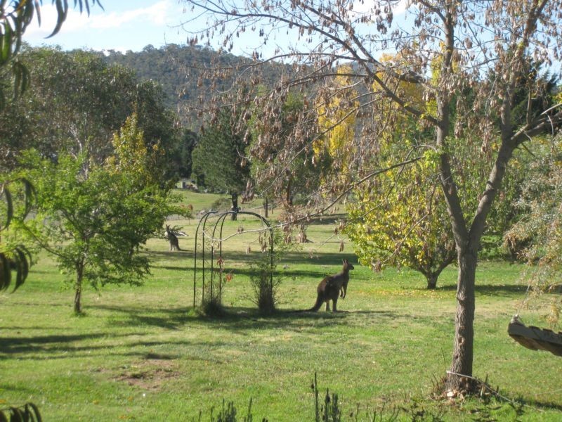 68 Ridge Avenue, Lakewood Estate, Jindabyne NSW 2627