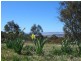 423 Avonside Road, East Jindabyne NSW 2627