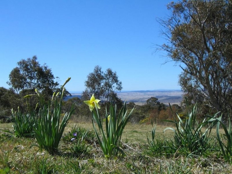 423 Avonside Road, East Jindabyne NSW 2627