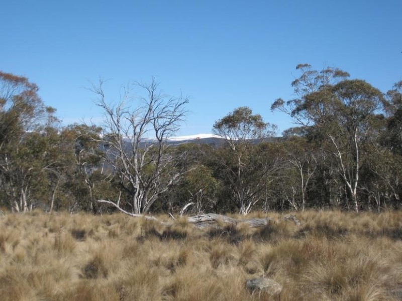 Lot 6 Wainui Road, Jindabyne NSW 2627