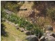 14 Lakewood Drive, Jindabyne NSW 2627