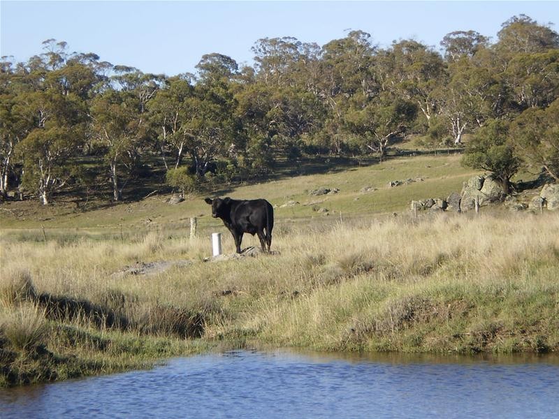 Lot 2 Mugridge Road, Jindabyne NSW 2627
