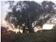 59 Old School Road, Jindabyne NSW 2627