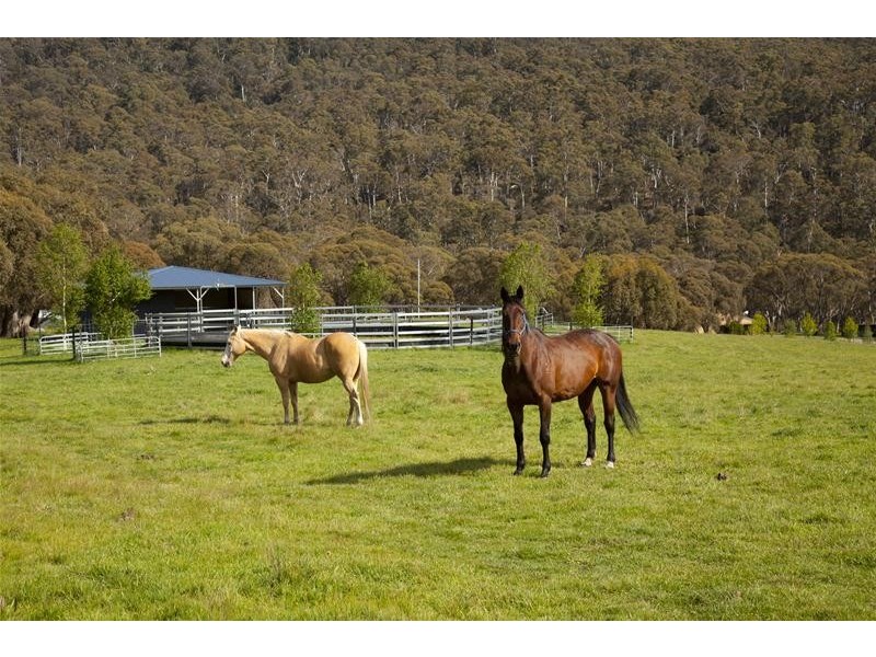 820 Big Yard Road, Jindabyne NSW 2627