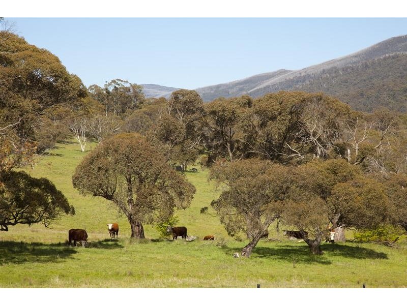 820 Big Yard Road, Jindabyne NSW 2627