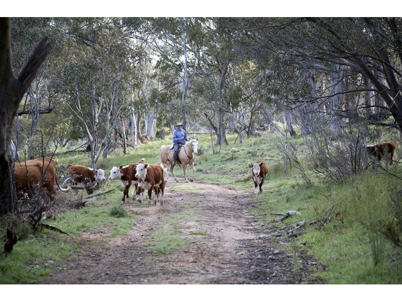 820 Big Yard Road, Jindabyne NSW 2627